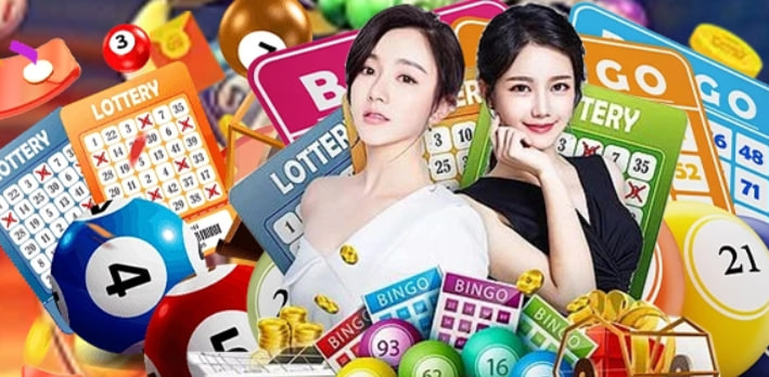 qq88s1