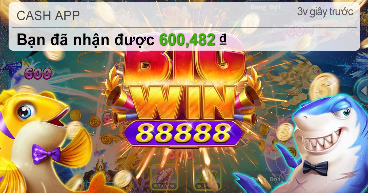 qq88